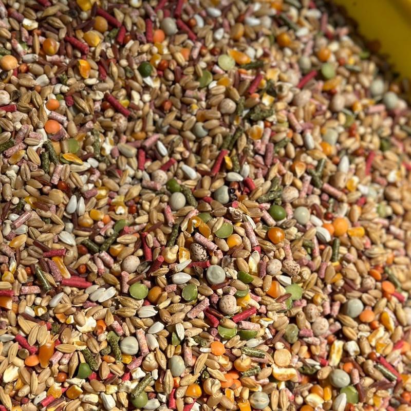 Ngũ Cốc Loại 1 Hạt Đẹp 5kg - Thức Ăn Bổ Sung Dinh Dưỡng Cho Gà - Food