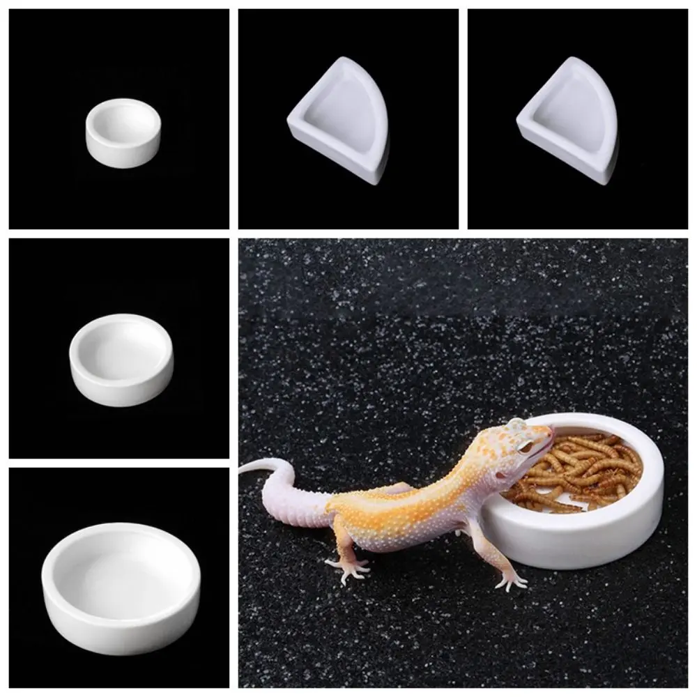 Creative Ceramic Lizard Bowl Escape Proof White Reptile Feeding Dish Round Aseptic Food Container Reptile
