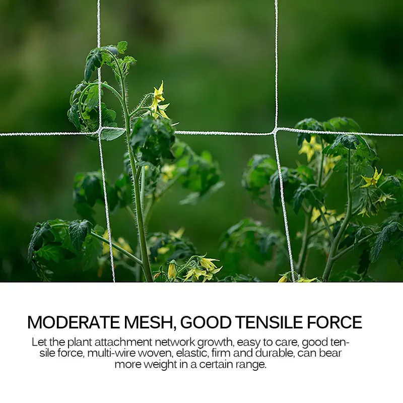 Jaring Tanaman Rambat Plants Climbing Net Polyester 1.67x10M 5