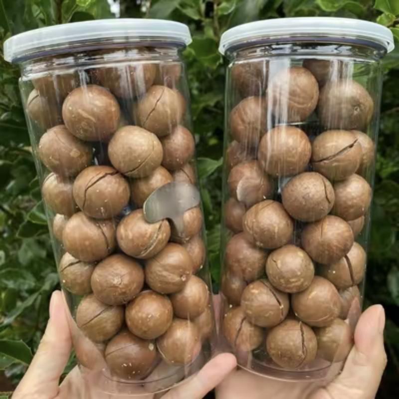 Hạt MacCa Đăk Lăk - Mắc Ca Sấy Giòn Lon 500gram