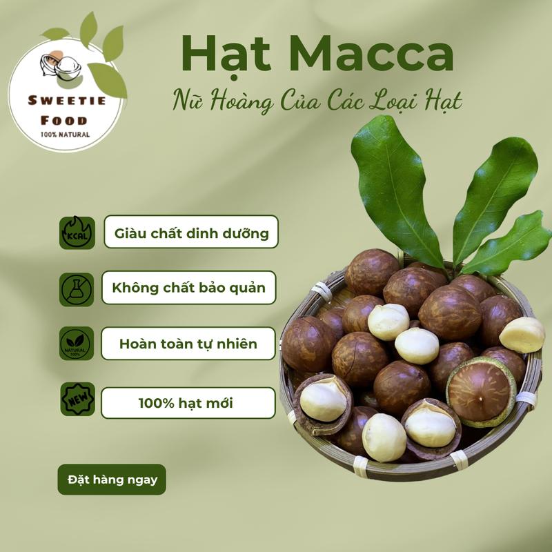 [ComBoo 1Kg] Hạt Macca size Bi  (1.8-2.2cm ), sấy chín   Nông sản sạch ĐắkLắk 0