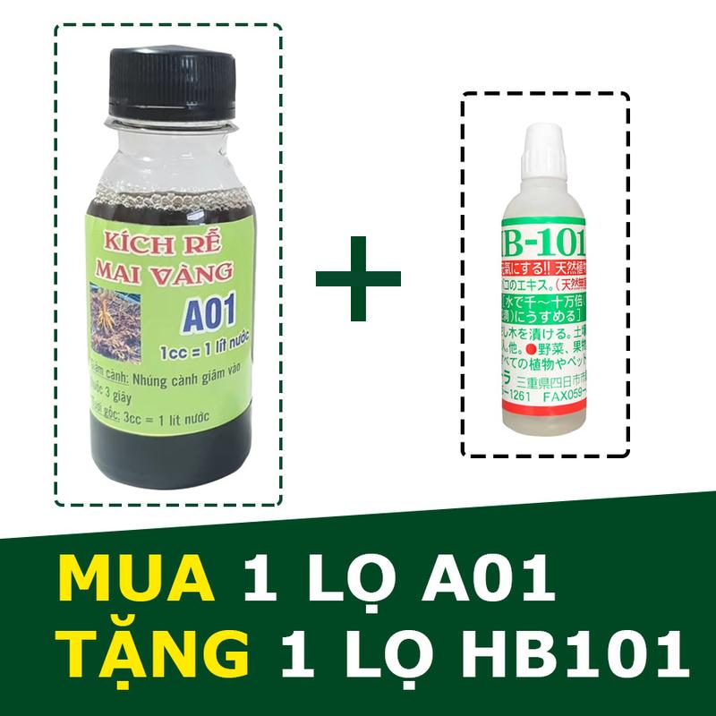 [ Mua A01 Tặng HB101 ] Kích rễ Mai Vàng A01, phân bón kích rễ cho cây giâm chiết cành