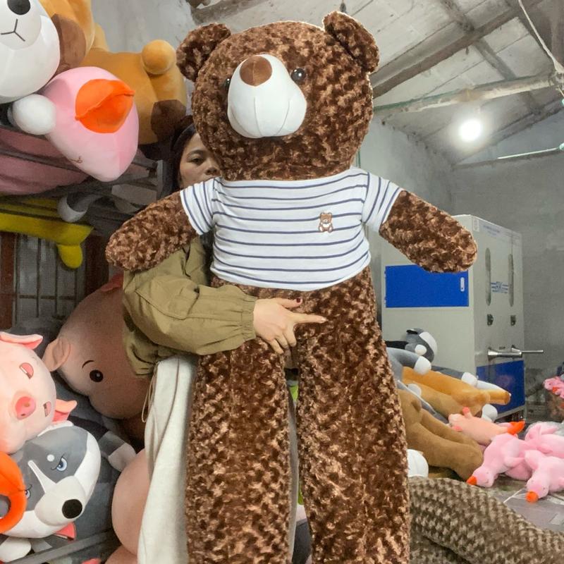 Gấu bông Tedy lông xoắn hoa hồng size 1M2  dáng béo  Thú Bông Thú Nhồi Bông Toy Đồ Chơi Phát Nhạc Heo