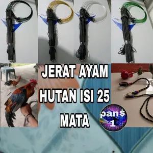jerat ayam hutan isi 25 mata