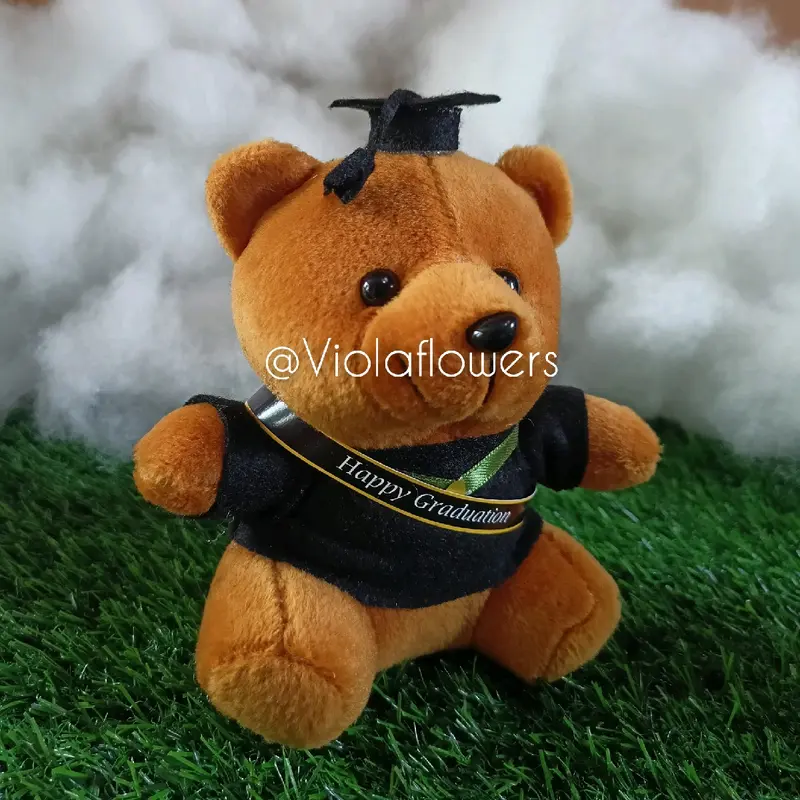 Boneka wisuda Teddy bear tinggi -/+15 cm 2