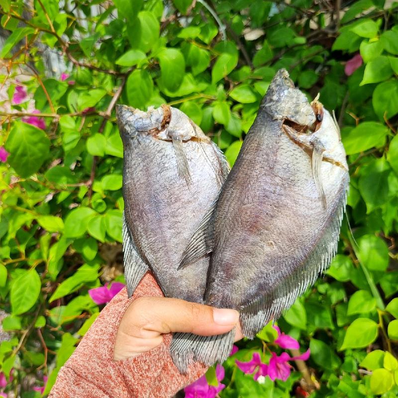 500g khô cá sặc Lạt 10 con vị vừa ăn khô 3 nắng(500g 5con)