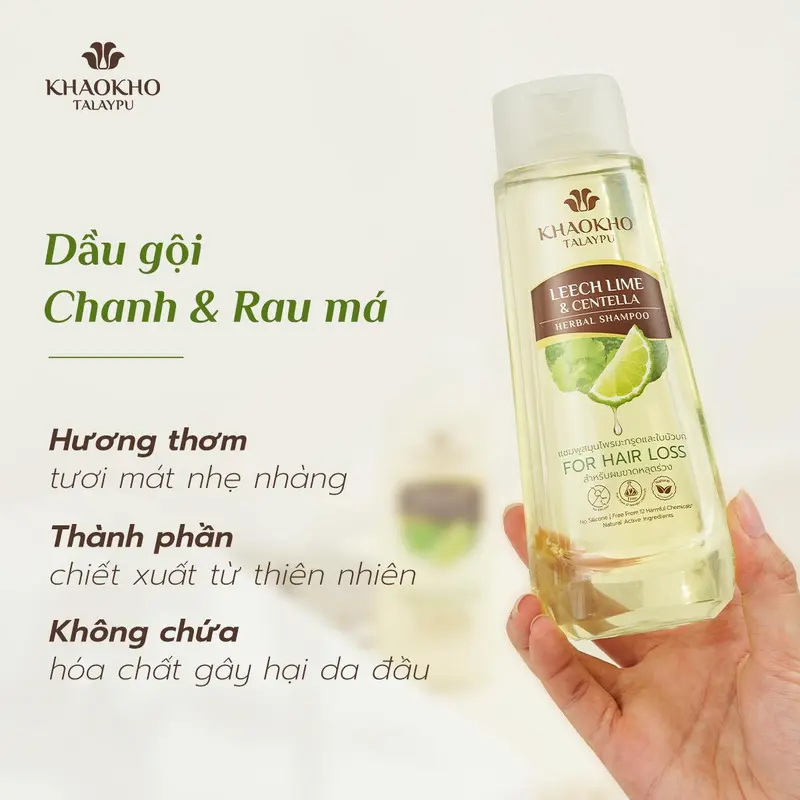 [DUY NHẤT TRONG LIVE] Combo Gội Xả Thảo Dược Organic Rau Má Và Chanh KHAOKHO TALAYPU Công Thức Cải Tiến Mới 185ml/330ml 4
