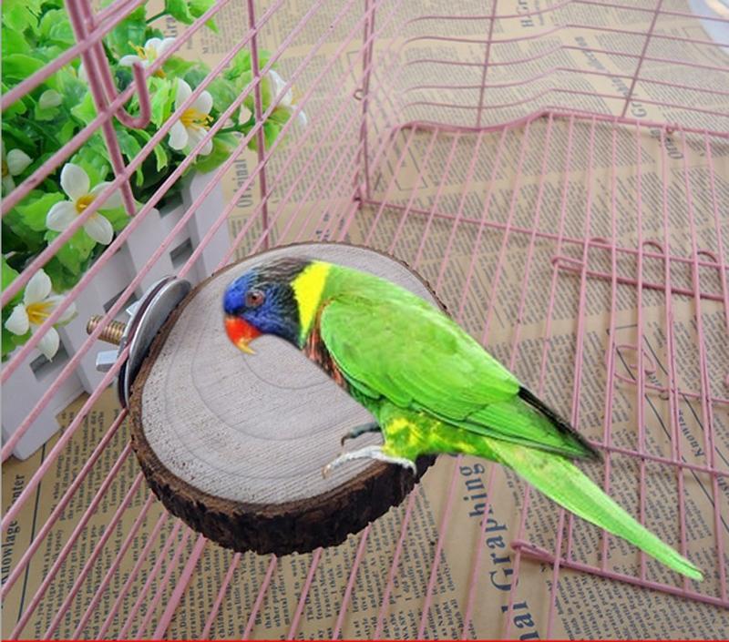 Product Introduction of Apple wooden parrot bird perch frame platform round 8