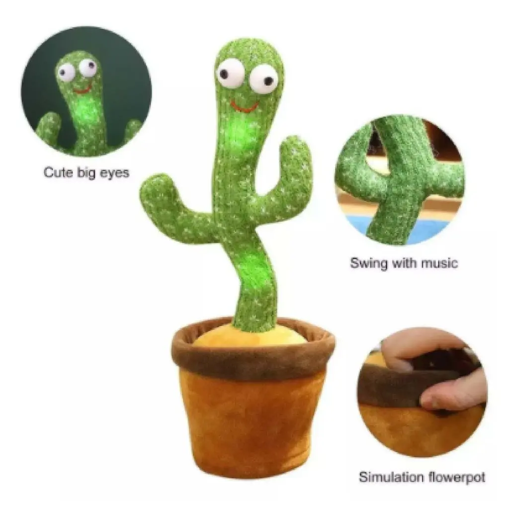 peruvianus kaktus Monstrose Peruvian Apple Cactus Seeds (Cereus peruvianus monstrosus)  Twisted columnar cactus with edible fruit; sculptural form perfect for  collectors main image 1