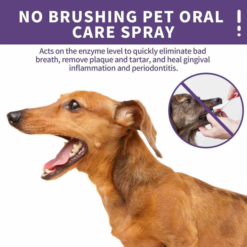 Product Introduction of 50ml Dog Mouth Fresh Spray Odor Eliminating Natural Ingredients Puppies Breath Spray Pets Oral Care Cats Deodorant Pets Supplies 6