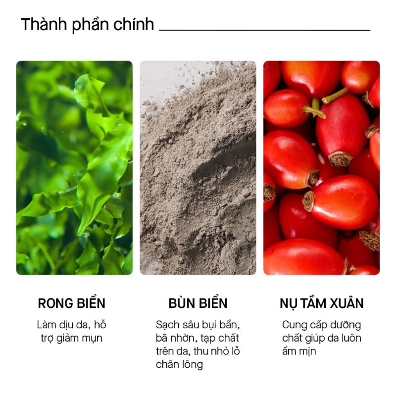 Sữa Rửa Mặt Thu Nhỏ Lỗ Chân Lông Rosette Face Wash Pasta Sea Clay Smooth 120g 1