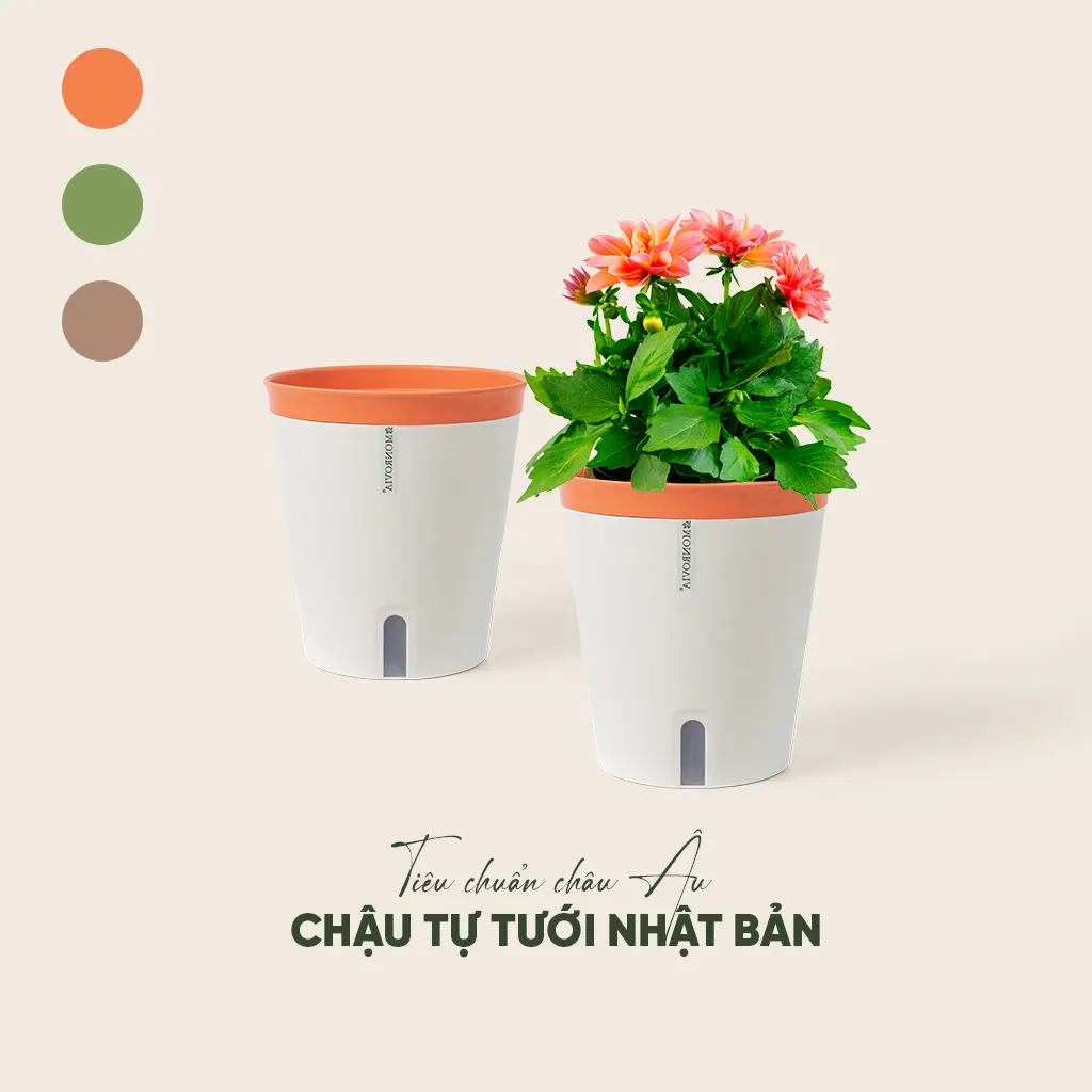 Chậu trồng cây tự tưới Monrovia, phong cách Nhật Bản, sang trọng, decor bàn làm việc, văn phòng, trong nhà, ngoài trời