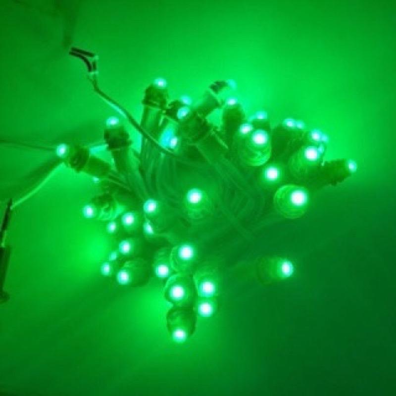 Led đúc F5 12V ngoài trời trang trí quấn cây đủ màu 3