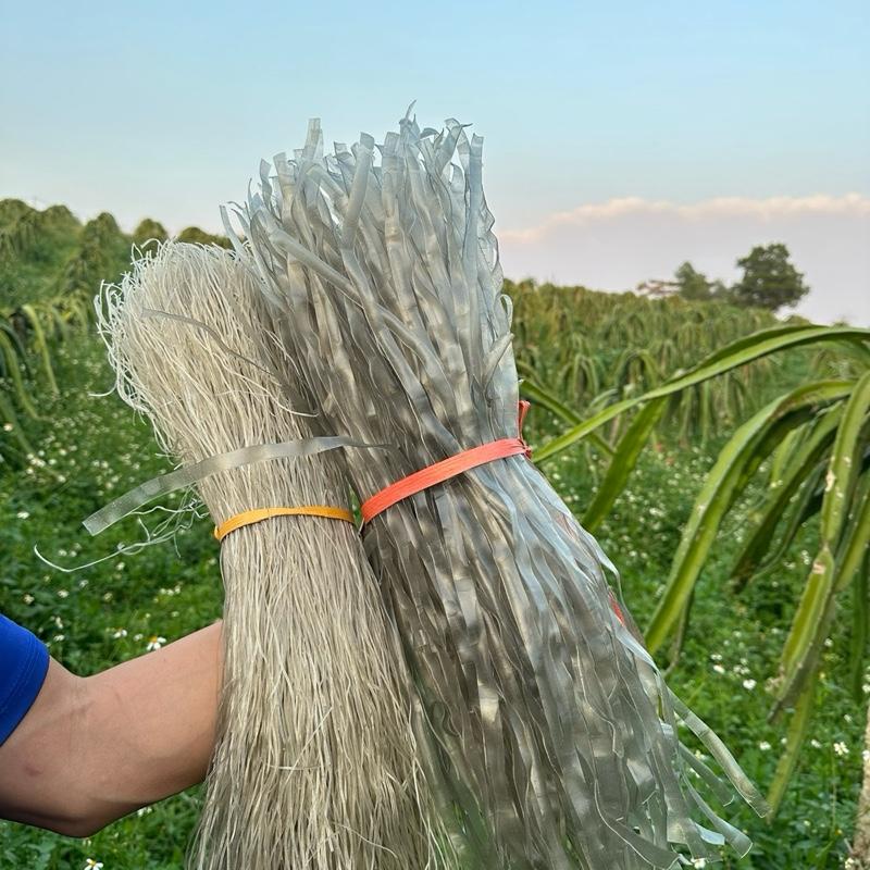 Combo 1kg sợi to 1kg sợi nhỏ - Đặc sản Tây Bắc  Food Miến