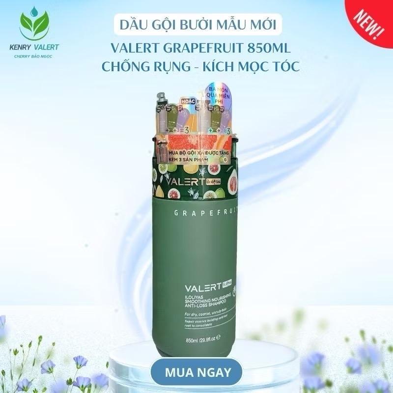 Dầu gội bưởi VALERT GRAPEFRUIT hỗ trợ giảm rụng trợ mọc tóc