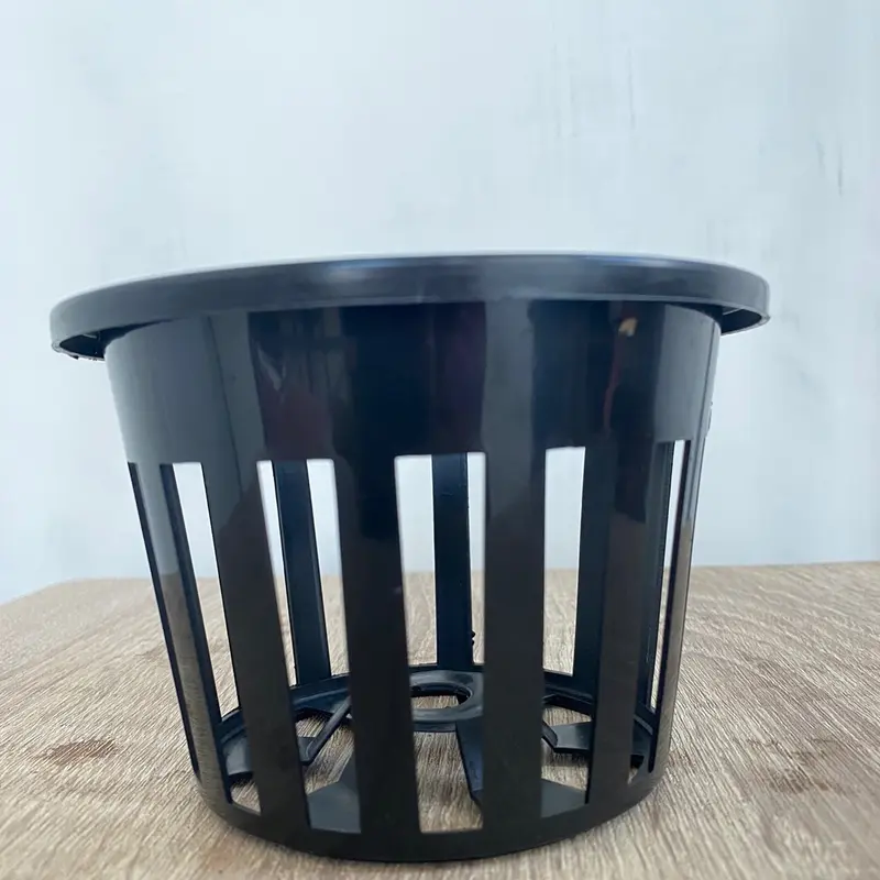 pot kecil isi 10 dd kriting 0