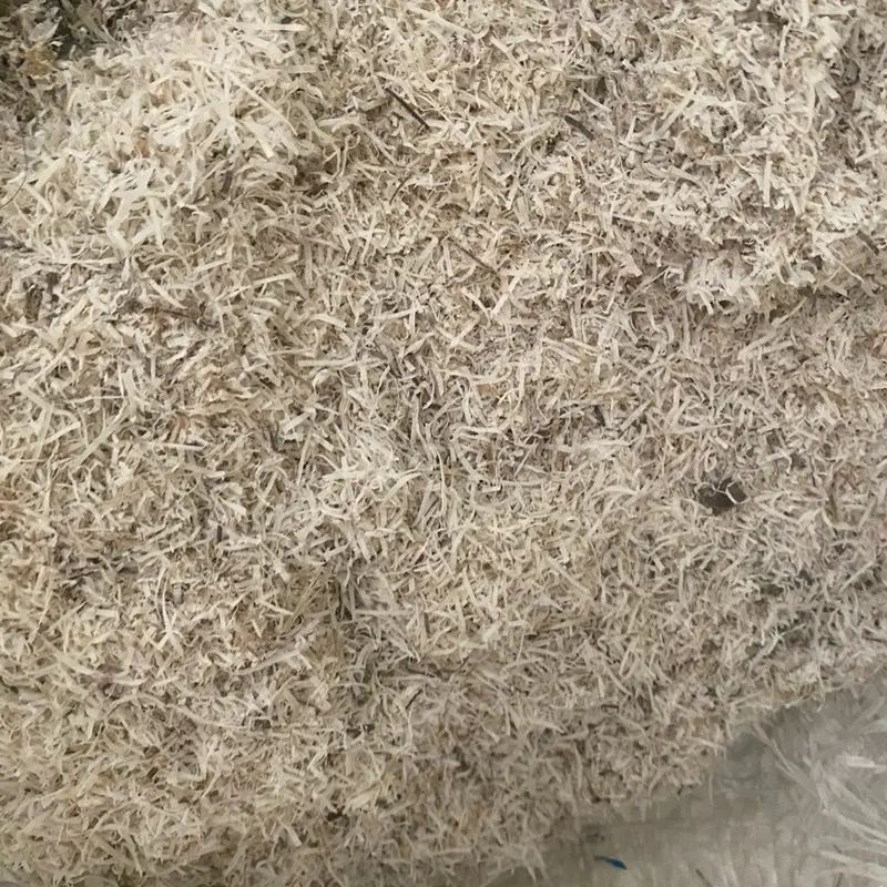 Vụn sừng trâu bón cây cảnh , rau củ quả 1