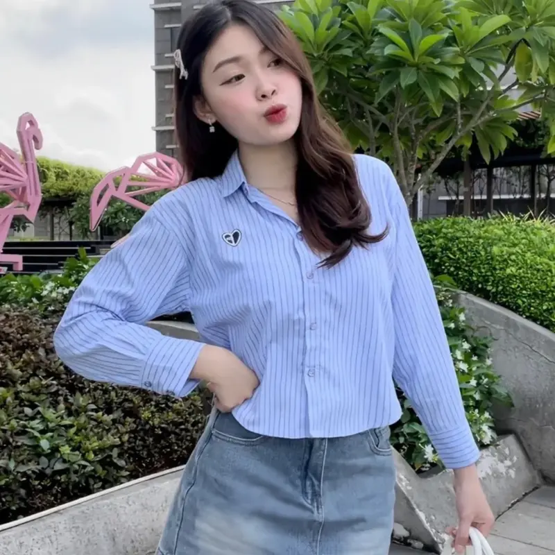 Mẫu sơ mi tay dài croptop thuê hình thông thường 1