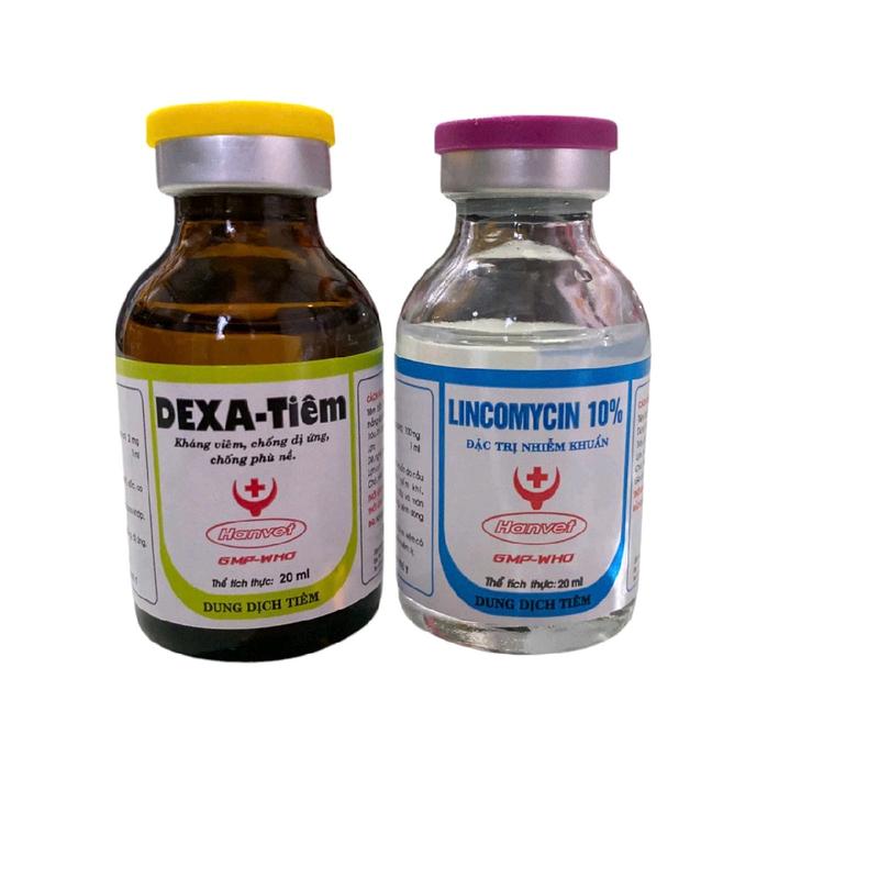 Bộ đôi Lincomycin và dexa - Tiêu kén, sưng củ bàn, kén lườn, kén đầu, sưng gối cho gà chai 20ml 2