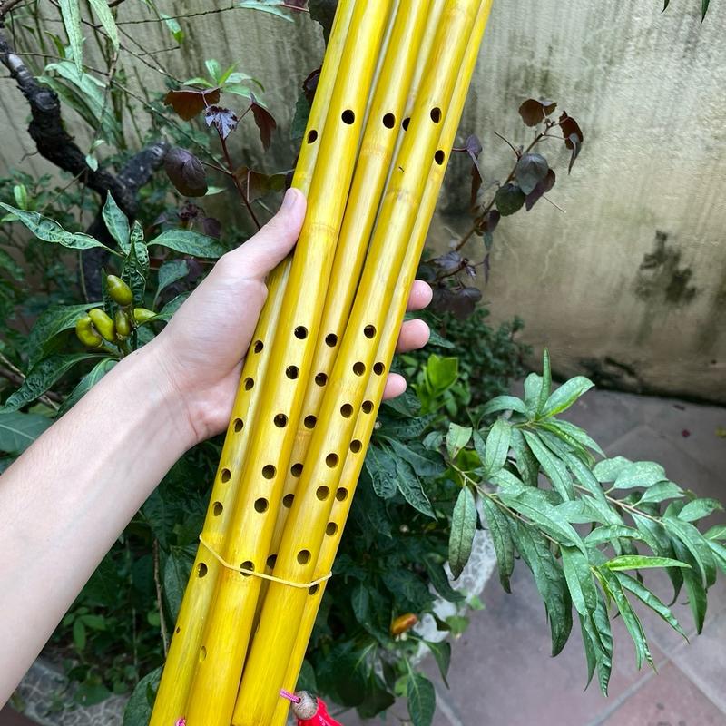 Sáo trúc ngang ( dễ thổi cho mọi lứa tuổi ), sáo trúc nghệ thuật, sáo trúc việt nam , sáo trúc tre, dể thổi 3