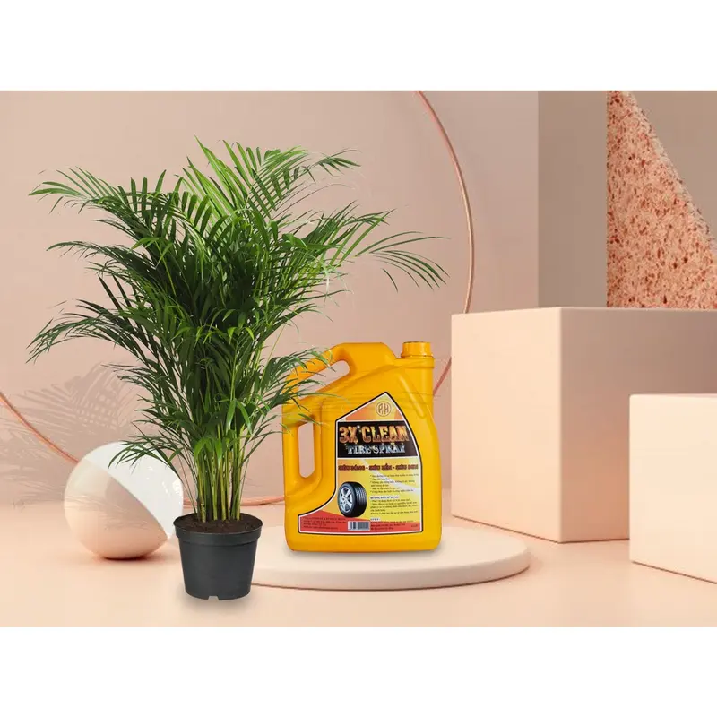 Dung Dịch Đánh Bóng Lốp Vỏ Xe Ô Tô Xe Máy 3x Clean 6 LÍT duong bong x abong 3