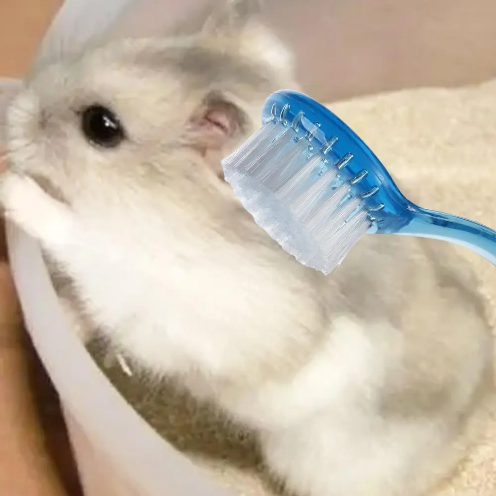 Soft Hair Brush Soft Small Hamster Brush Long Hair Plastic Bear Cleaning Comb Hamster Cleaning Brush Bath Mini Brush Hedgehog Bathing Brush Cleaning
