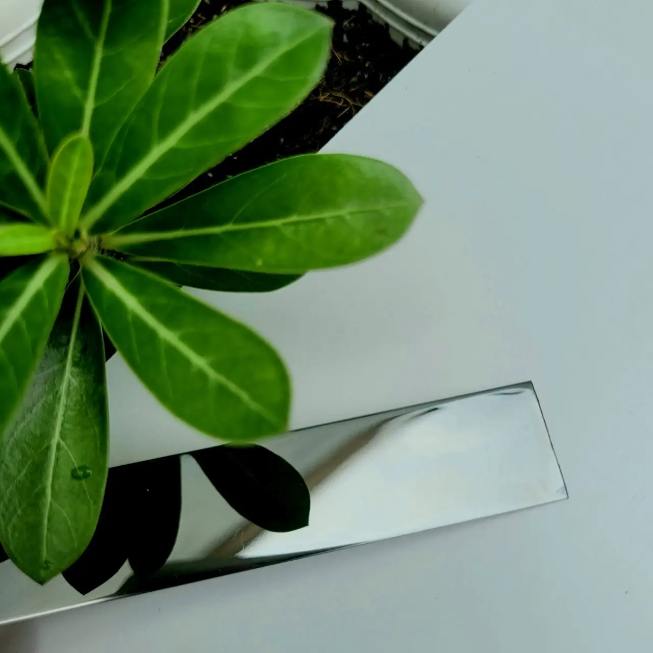 Nẹp la inox Đen gương, GIÁ 1M, lập là inox, la cuộn inox, nẹp dán tường