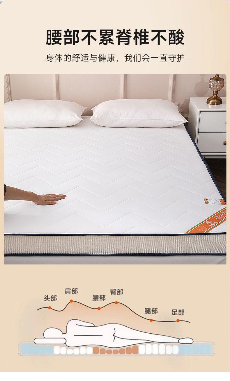 Product Introduction of Nệm Cao Su, Dày, Gia Dụng, Có Thể Gập Lại Đôi, Thích Hợp Cho Tất Cả Các Mùa, Nệm Cho Ký Túc Xá Và Sinh Viên, Có Kích Thước Đơn Và Nữ Hoàng, Đáy Nệm 2