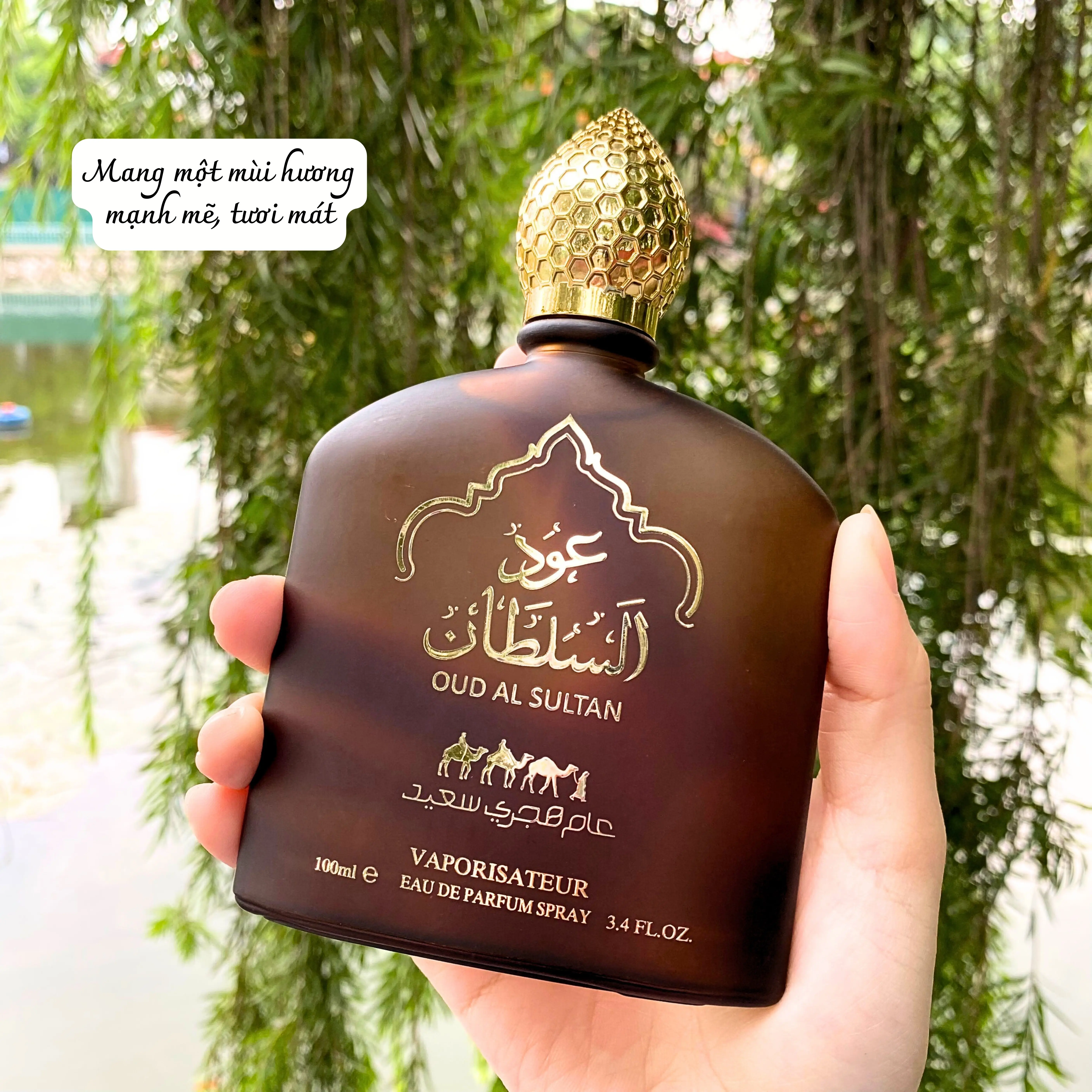 Nước Hoa Nam Thơm Lâu 4h SULTAN 100ml Mang Âm Hưởng Đất Nước Dubai Giàu Có Với Những Anh Chàng Nổi Bật Nhưng Cũng Thật Quyến Rũ Cosmetic Perfume