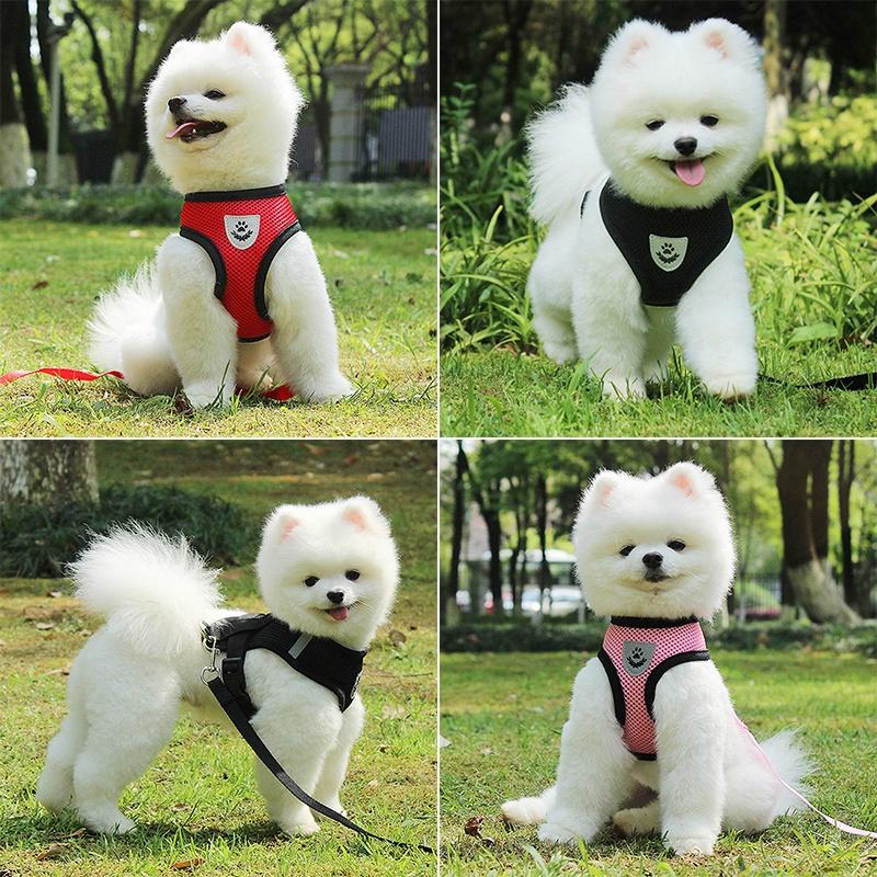 Product Introduction of Cat leash harness cat collar leash set cat leash for Cat puppy leash and collar Dog leash Pet leash 13