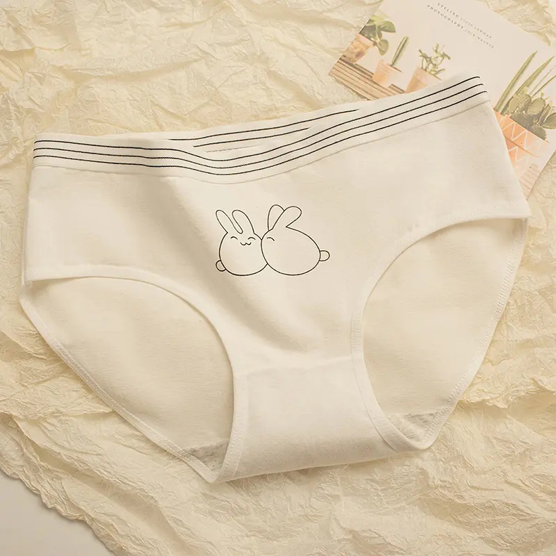 Combo 10 quần lót cotton nữ cao cấp in hình thỏ dễ thương (HM13) - Women Voi 1
