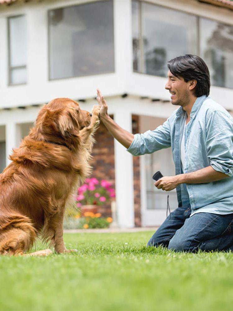 Product Introduction of Dog Anti Barking Device Laser Repeller LED Ultrasonic Dogs Repeller Training Device отпугиватель собак антилай dog accessories 11