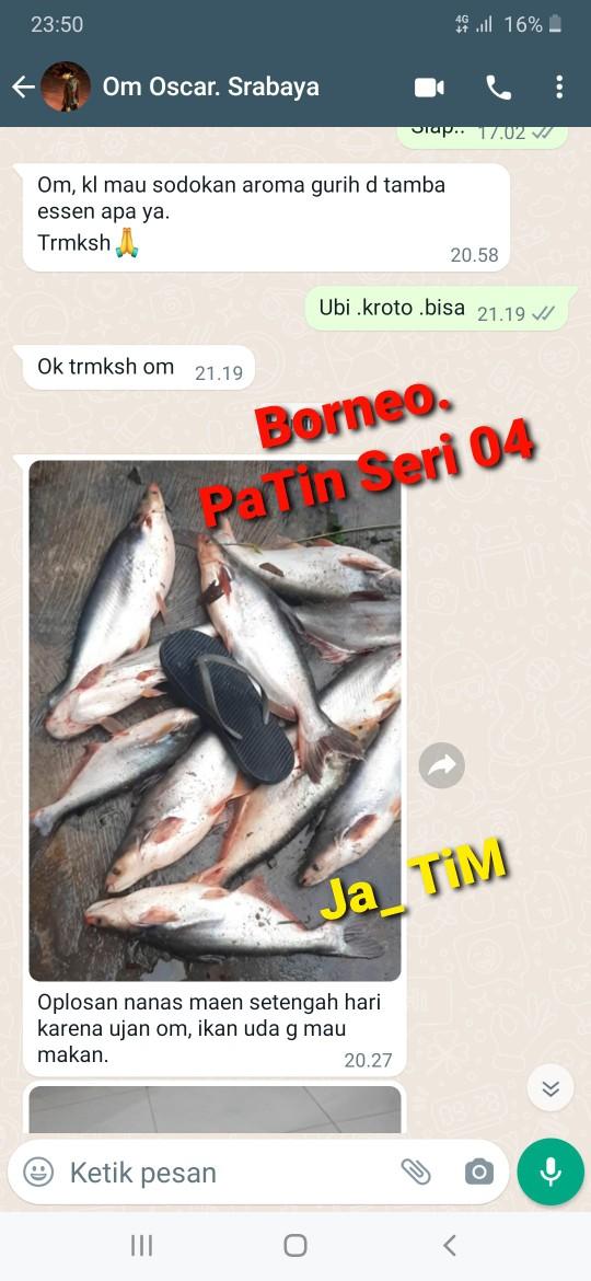 Product Introduction of Booster Borneo / Pengumpul Ikan 4