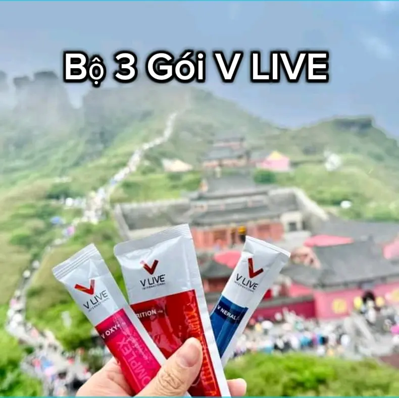 Bộ 3 Gói V LIVE Hỗ Trợ Tăng Cường Tuần Hoàn Máu, Bổ Sung Chất Dinh Dưỡng