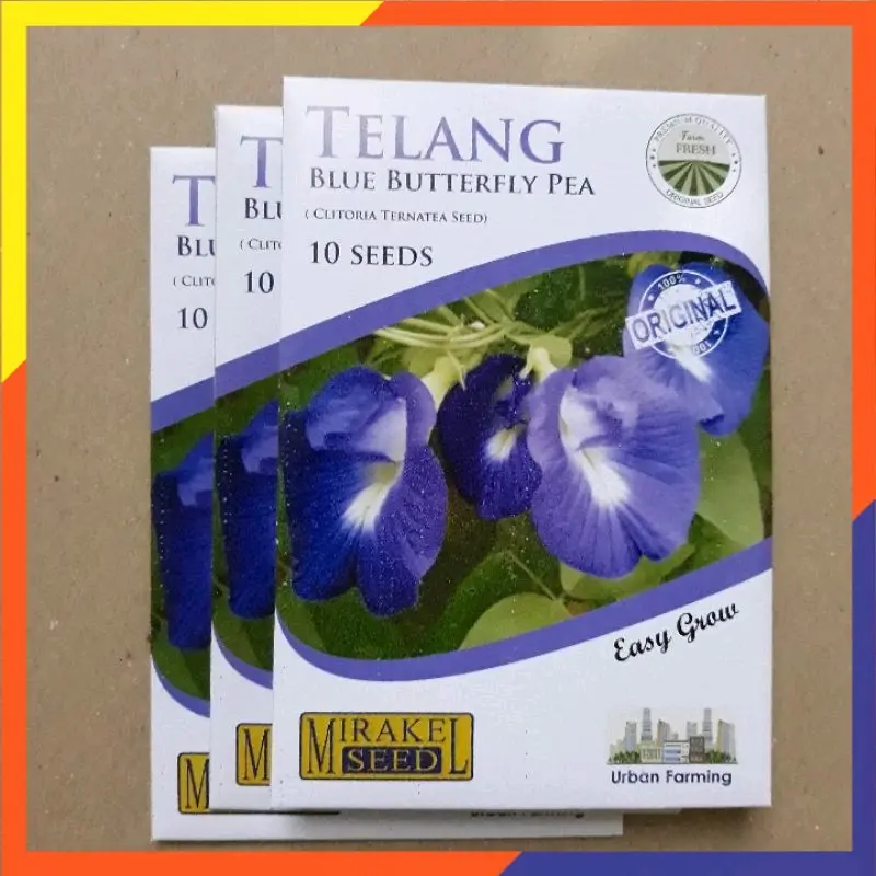 TERMURAH BENIH BUNGA TELANG Dekorasi