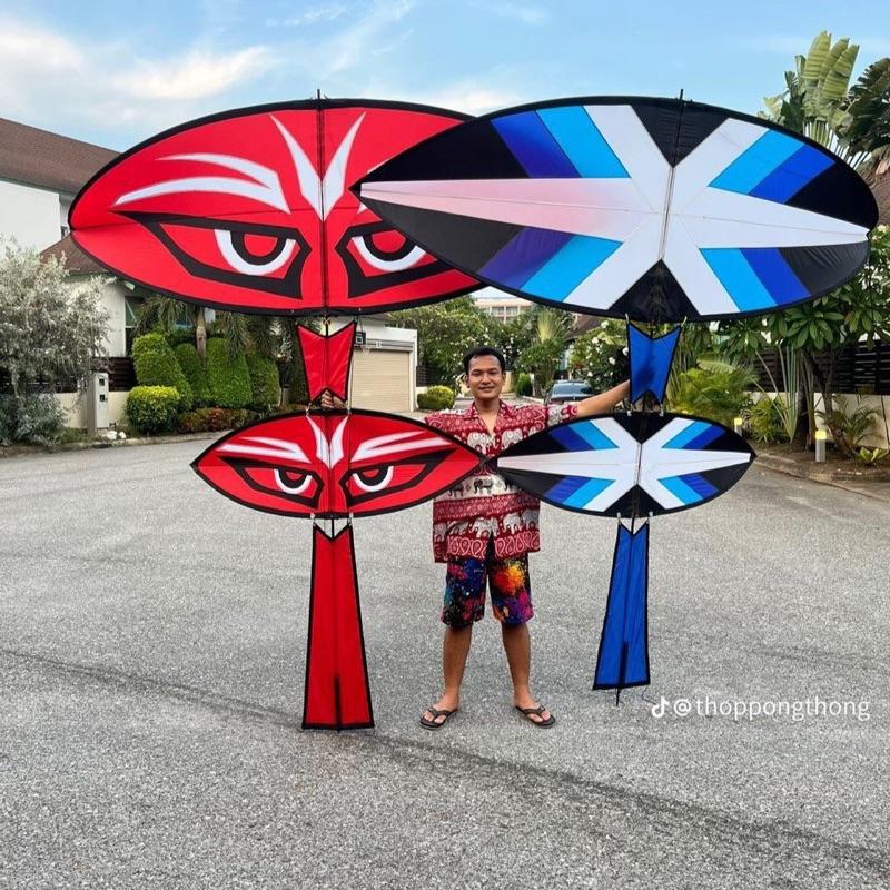 Diều sáo lắp ghép giá rẻ full nan tím đã độ vai