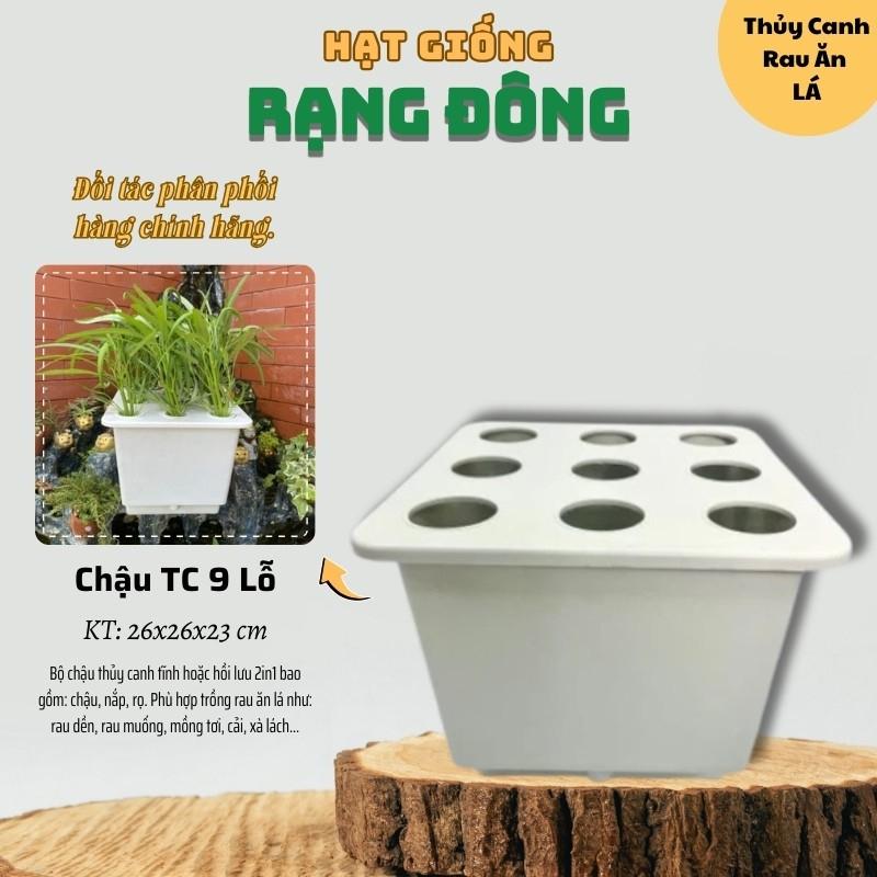 Chậu Thủy Canh RAU ĂN LÁ 9 LỖ - Thùng/Chậu nhựa trồng rau thủy canh Tĩnh và Hồi Lưu 2in1 - Hạt giống Rạng Đông