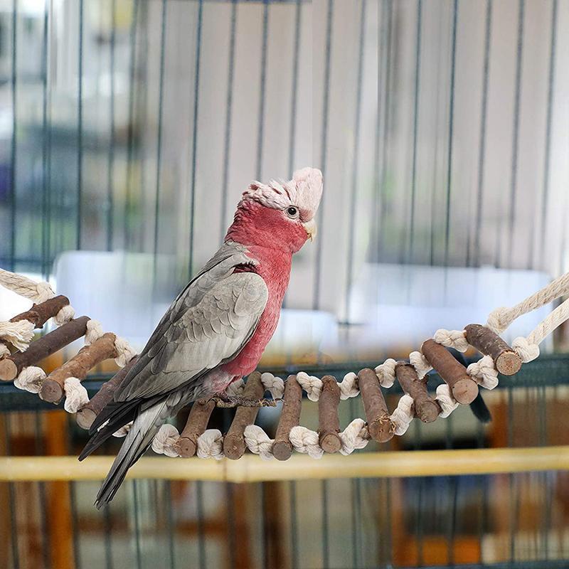 Product Introduction of Parrot chewing toys Small and medium-sized bird toys Log swing rings Bell string 12