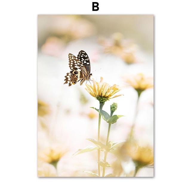 B