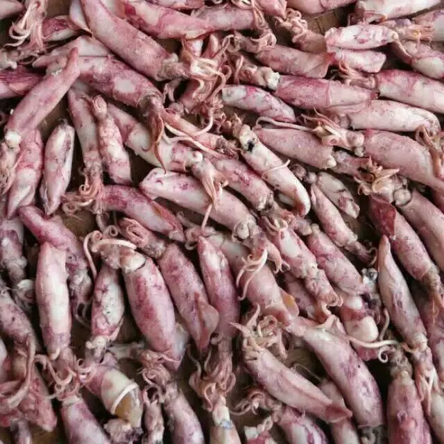 Cumi baby asin kering 1000 gram Food Goreng 0