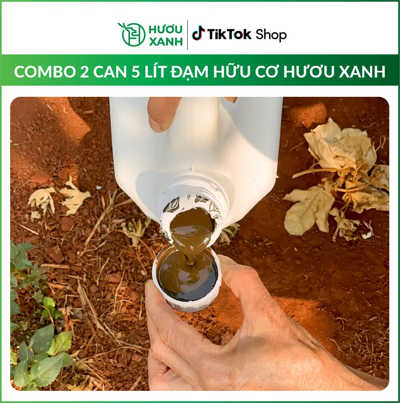 [COMBO 2 CAN 5 LÍT] Đạm Hữu Cơ Hươu Xanh Giúp Cây Bật Mầm, Xanh Lá, Bung Cành, Đẻ Nhánh Mạnh, Nuôi Trái, Phục Hồi Sau Thu Hoạch 3