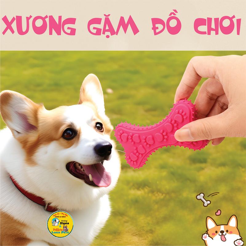 Đồ Chơi Xương Cao Su Cho Chó Tập Nhai Gặm ___ XƯƠNG ĐỒ CHƠI 4