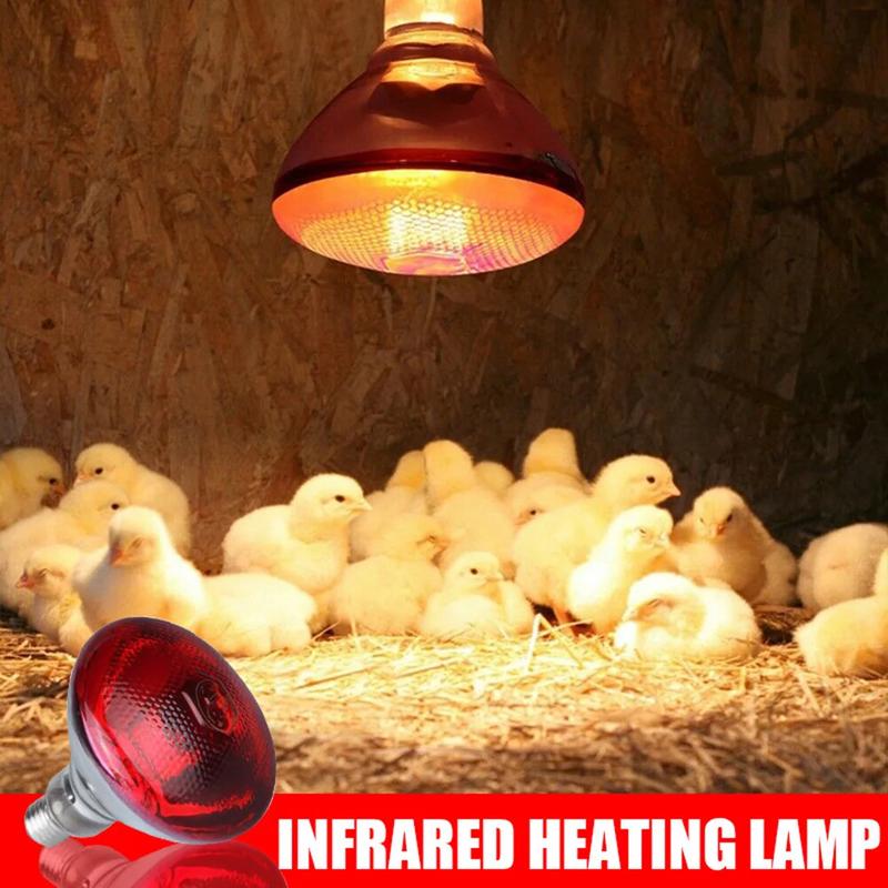 Product Introduction of 250W Poultry Infrared Heat Lamp Waterproof Anti-Explosion Thickened Light Bulbs ​ For Piglet Chicken Duck Birds E27 Heating Lamp 12