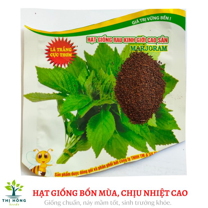 Hạt giống rau kinh giới (mùi thơm dễ chịu, màu xanh, có lông nhám) 2