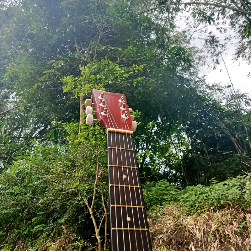 gitar senar ceper dan empuk cocok untuk belajar gitar 2