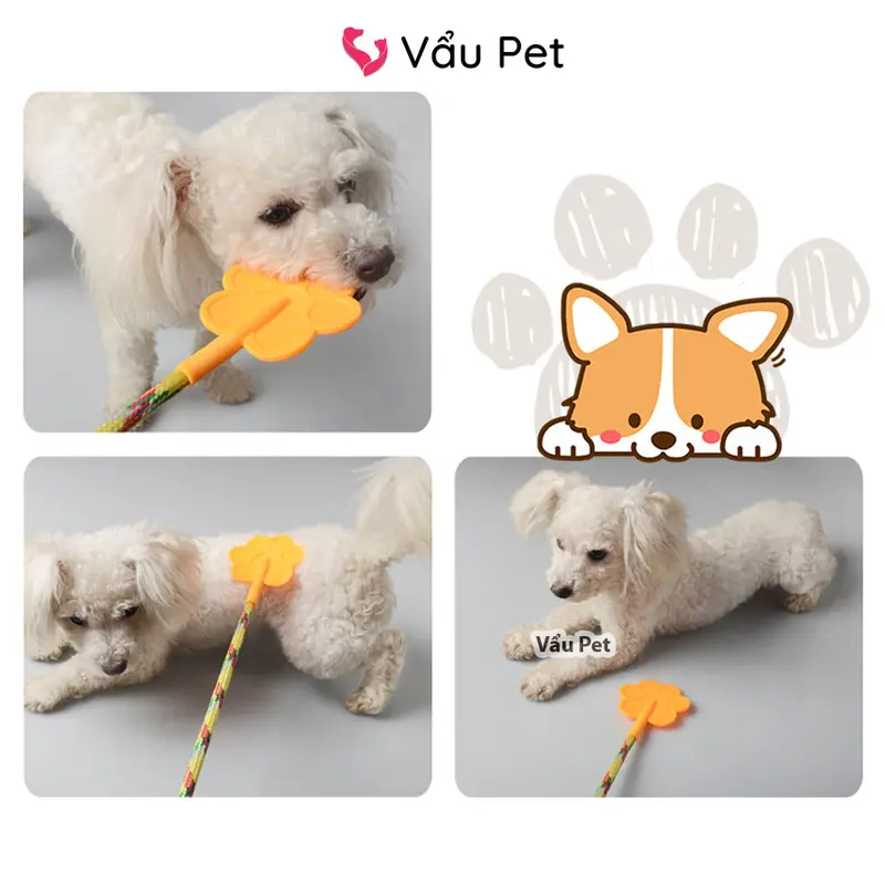 Cây tét mông chó mèo - Dụng cụ huấn luyện thú cưng, roi tét mông 1