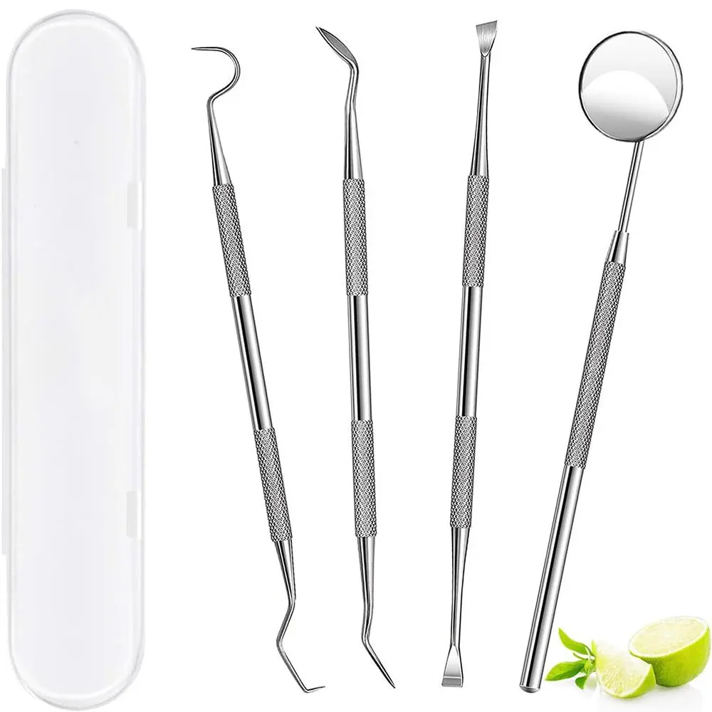 Professional Teeth Cleaning Oral Care Hygiene Kit, 4 Counts Stainless Steel Toothpick Tooth Scraper Tartar Plaque Remover for Dentists, Personal, Pets Use
