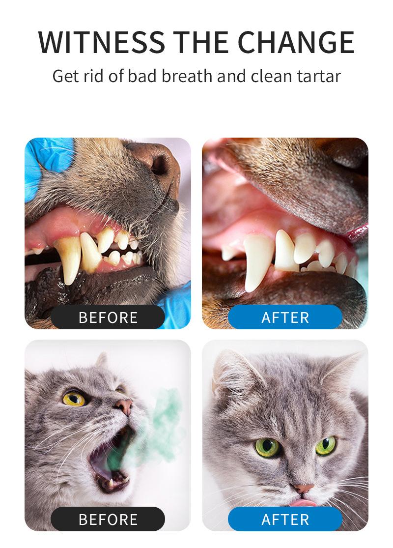 Product Introduction of Pet Mouthwash Mild Cat for Common Dogs Mouthwash Tooth Cleaning Water Pet Mouthwash Pet Cleaning Supplies 4