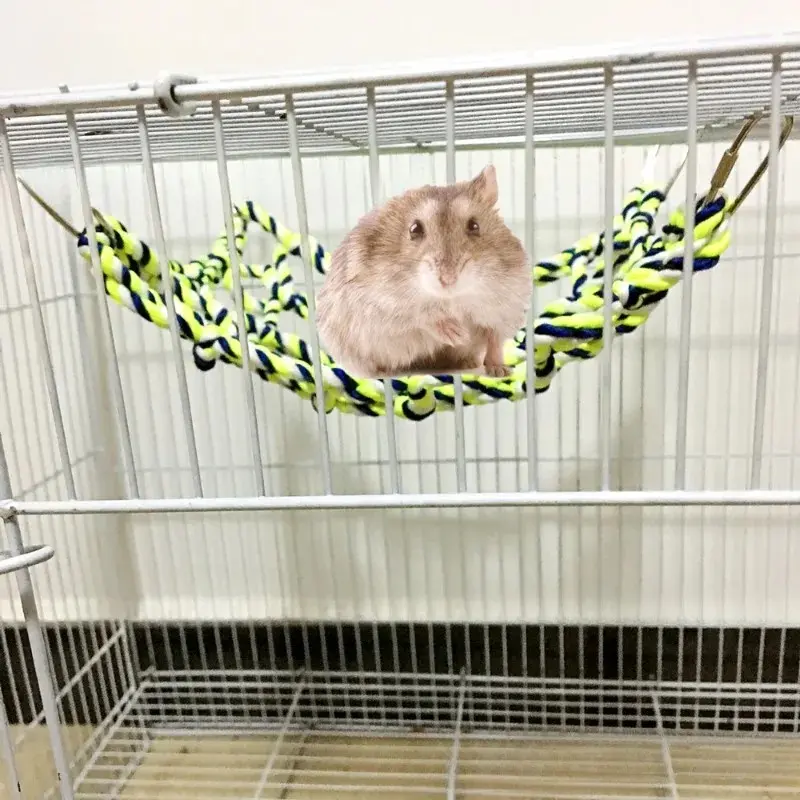 Pet Hammock Toy Hamster Squirrel Puppy Net Rope House Balcony Hammock Colorful Weave Climbing Net Parrot Bird Net