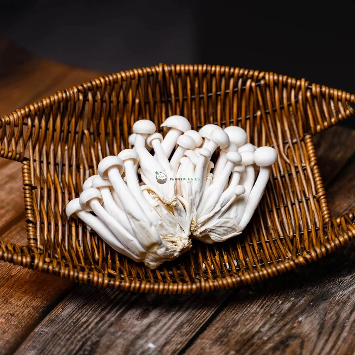 White Hon-Shimeiji Mushroom (PKT)